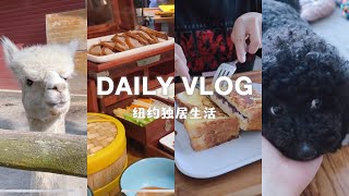 纽约独居VLOG｜各种探店吃吃喝喝🍱｜有修狗狗陪伴的幸福日常🐕‍🦺｜给好朋友庆生🎂｜我的好朋友都好上镜诶｜七八月2022｜vlog19