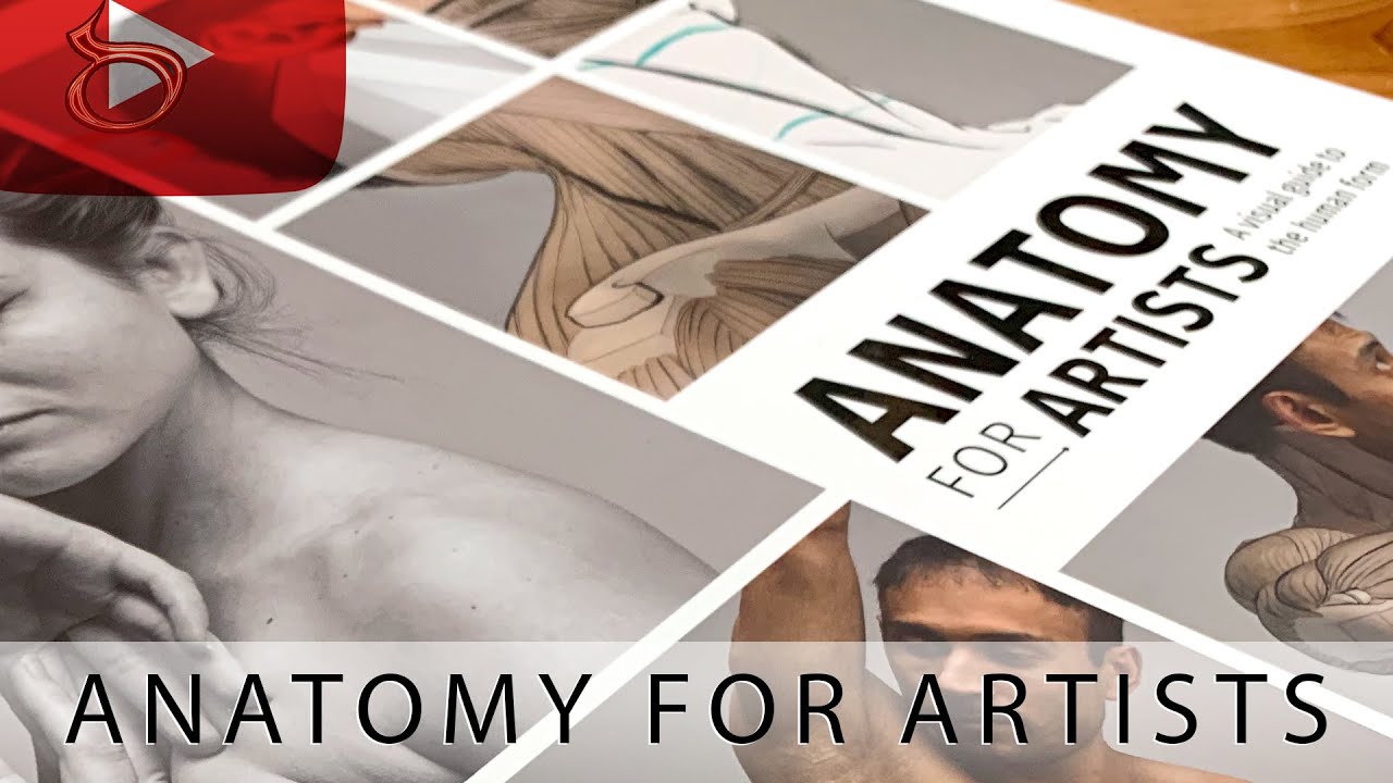 Anatomy For Artists Book Review - YouTube