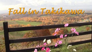 🍁Fall in Takikawa🍁Final/滝川市【秋景色】