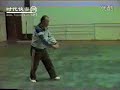 Xing Yi Quan Za Shi Chui by Master Sha Guosheng