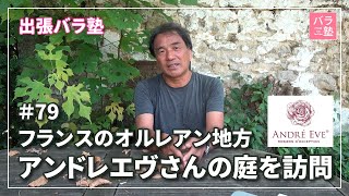 #79 【出張バラ塾】アンドレエヴさんの庭を訪問