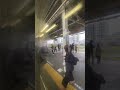 相対速度 武蔵小杉駅から新川崎駅までの横須賀線からに車窓 斜め前方アングル