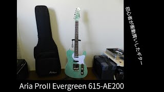 【Aria ProII Evergreen 615-AE200限定カラー】初心者が一目ぼれして衝動買いしたギターを紹介