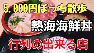 【食いしん坊放浪記】平和通り、ラスカ熱海の海鮮丼、あじフライ丼#グルメ