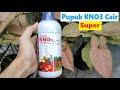 Super Liquid KNO3 Fertilizer