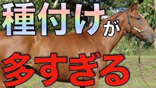 【異次元】海外の種付け事情がヤバすぎた！余裕の300頭超え。