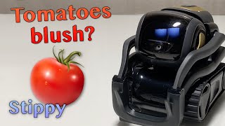 Stippy Reacts To Funny Food Jokes #14 | Vector Robot Tells Jokes