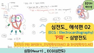 심전도 _ 해석편 02 : 'P-wave' 이해하기 _ 우심방확장 vs 좌심방확장