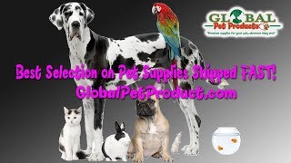 online dog store Top Pet Products with Free Shipping online dog store