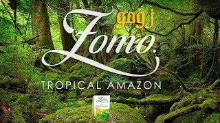 Zomo Tropical Amazon Tobacco:  Hookah Reviews (2017)