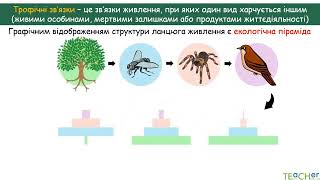 Типи зв'язків між популяціями різних видів в екосистемах