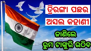 ସ୍ଵାଧୀନତା ଦିବସରେ ଜାଣନ୍ତୁ ତ୍ରିରଙ୍ଗା ପଛର ଆଶ୍ଚର୍ଯ୍ୟଜନକ କାହାଣୀ, ସଚ୍ଚା ଭାରତୀୟ ମାନେ ନିହାତି ଦେଖନ୍ତୁ ଭିଡ଼ିଓ