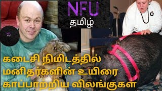 ANIMAL SAVE HUMAN LIFE// மனித உயிரை காப்பாற்றிய விலங்குகள்