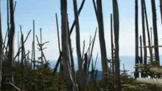 金峰山_mpeg1video_001.mpg