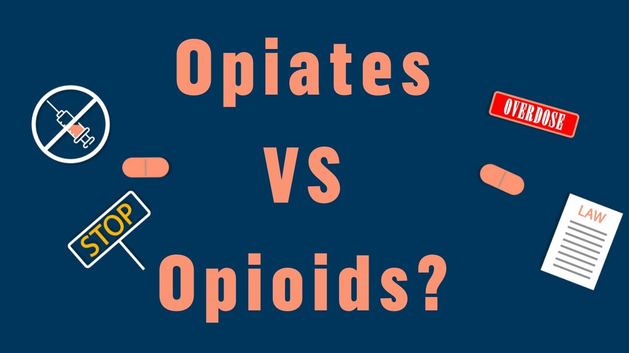 Opioid Vs Opiate - What's The Difference? - YouTube