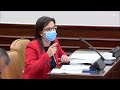 diputada cateta del pp prefiere dar medallas a vírgenes y no a los perros