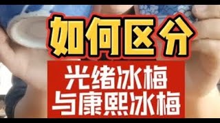 #创作灵感 如何区分康熙冰梅与光绪冰梅？大炜献上鉴定技巧，一看就会！#明清瓷器 #跟着抖音看文物 #古董捡漏 #秒懂文物