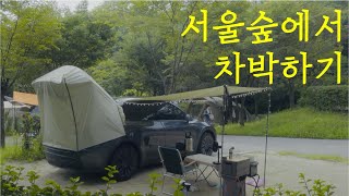 초안산에서 테슬라 차박 완전정복! 평탄화부터 완벽한 세팅까지