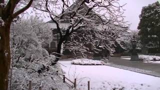 深々と降る雪