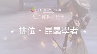 第五人格IdentityV｜排位．昆蟲學者｜真的努力把蟲蟲都用盡了