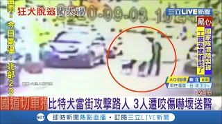 比特犬又闖禍！台中3民眾遭兩隻比特犬攻擊咬傷 鄰居控訴:狗出來看到人就咬│記者 洪琮翔 吳伊哲│【LIVE大現場】20200904│三立新聞台