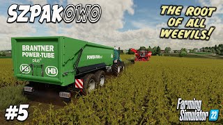 ROOTED TO THE SPOT on SZPAKOWO! #5 | Farming Simulator 22. FS22 PS5.