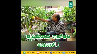 ಮಂಗಳೂರು: ಕೃಷಿಕನಾದ ಇನ್‌ಕಂ ಅಡಿಟರ್..! : ತಾರಸಿ ತೋಟದಲ್ಲಿ ಯಶಸ್ವಿ ಗಳಿಸಿದ ಮಂಗಳೂರಿನ ಡಿಸೋ