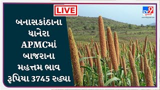 Mandi : બનાસકાંઠાના ધાનેરા APMCમાં બાજરાના મહત્તમ ભાવ રૂપિયા 3745 રહ્યા |  APMC |  GUJARAT | #TV9D