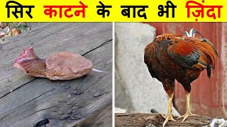 ऐसे जानवर जो मरने के बाद भी जिंदा रहते हैं |