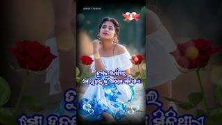 ତୁମକୁ ଦେଖିଲେ || odia love shayari || odia shorts || odia status || amari mana