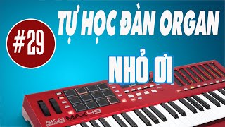 BÀI  29 | NHỎ ƠI |  TỰ HỌC ĐÀN ORGAN ĐỆM HÁT