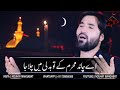 aye Chand Muharram ke Tu Badli Mein Chala Ja | Whatsapp Status 2023 | Nouhay Manqabat