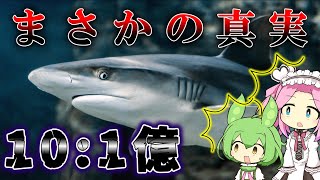 【雑学】9割が知らない衝撃的なサメの雑学7選