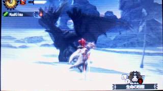 【MH4G】集会所クエストG級★3 高難度：峻烈の岸辺にて 4PT