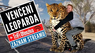 Leopard 1 gameplay + TRIFI ofenziva | záznam streamu