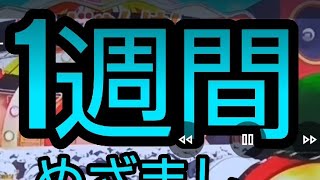 やまとしチャンネルNo.5133 めざましじゃんけん1週間ね🐙🤩🐙