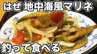 釣魚料理  ハゼの地中海風マリネの作り方【小物釣り  はぜ釣り  マハぜ  南蛮漬け  エスカベッシュ  釣って食べる】