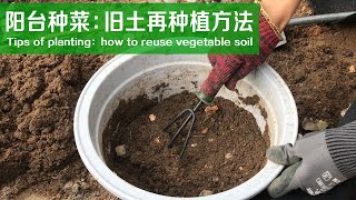 种过的土还可以再用吗？这样处理，再也不要花钱买土！｜Tips of planting：how to reuse vegetable soil