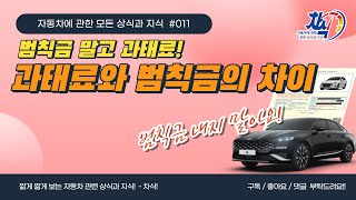 [차식] #011 과태료와 범칙금의 차이