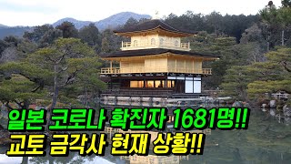 LIVE 도중 유튜브 강제 종료 원본 1편) 일본 한국인 입국\u0026여행비자 금지 day+11 교토 금각사 은각사 청수사 현재상황!! 오사카 japan travel osaka kyoto