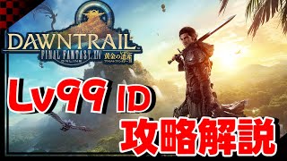 【#FF14】10分でわかる？！Lv99 ID 攻略解説【patch7.0】