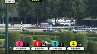 Wise Dan - 2014 Bernard Baruch Handicap (G2)