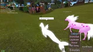 Roblox Horse World Unicorn And Aqua Horse Gamepass Music Jinni - roblox horse world part 2