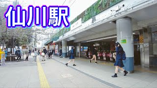 京王線 仙川駅周辺を歩く　Take a walk around Sengawa Station on the Keio Line  2021.10.27