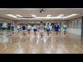 In The Navy Line Dance (Low Beginner Level)