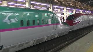 東北新幹線 下り やまびこ43号（17両編成） E5系+E6系 JR東日本 盛岡行 大宮 入線 2019年8月5日 00670