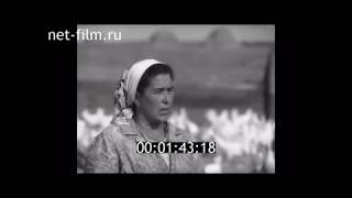 1972г. колхоз 50 лет СССР Ельниковский район Мордовия