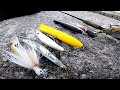 The TOP #5 BEST - STRIPED BASS & BLUEFISH FALL - SURF FISHING LURES for 2022