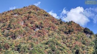 椿山（つばやま）集落の紅葉と二升ｹ淵 高知県仁淀川町椿山 2022年高知県の紅葉