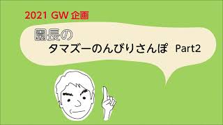 園長のタマズーのんびりさんぽ──Part2：園長が「たまたま発見！ カード」に載っている植物や生きものを探しています